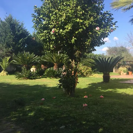 Luisa 3* Montoro Inferiore